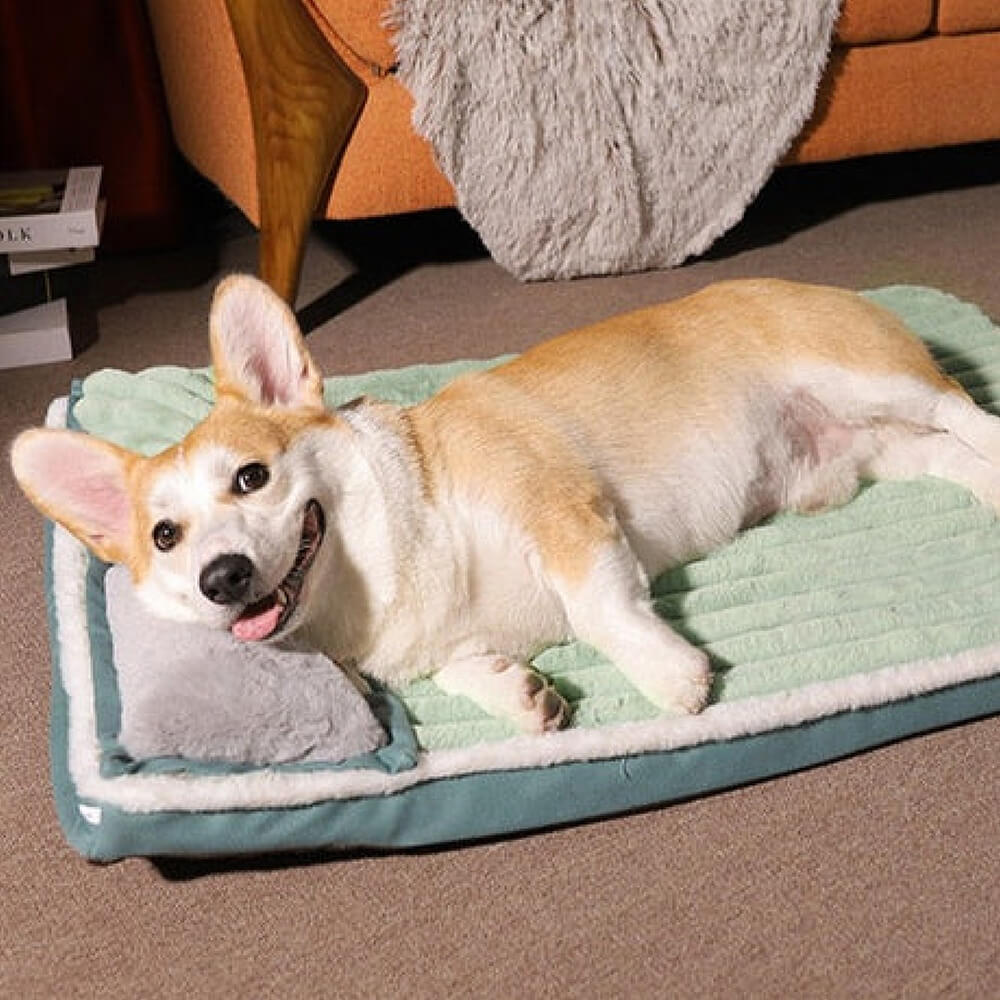 The Kitty Place™ Velvet Calming Pillow Orthopedic Dog Bed