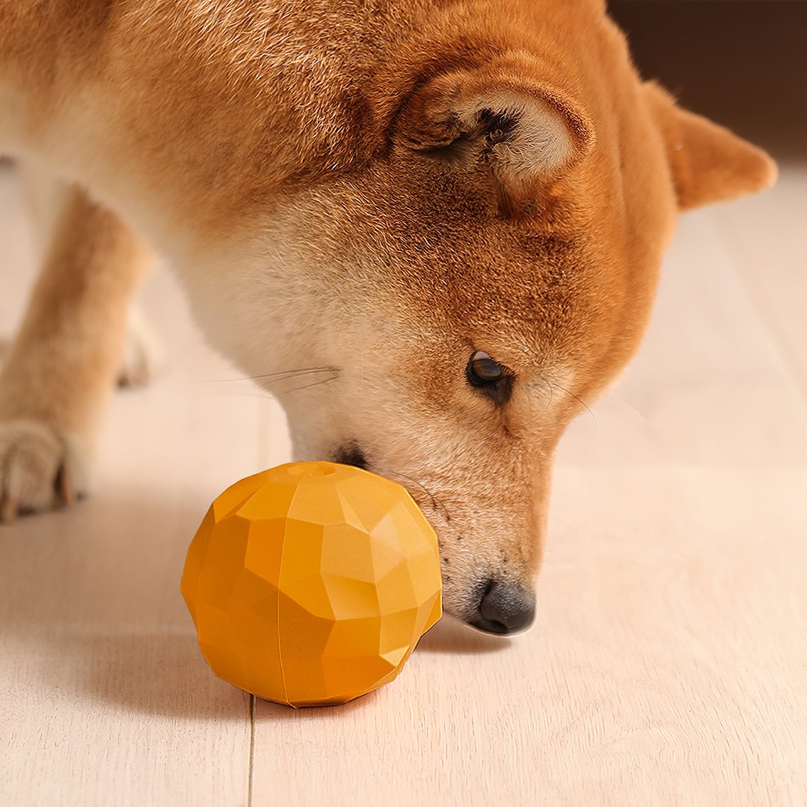 The Kitty Place™ Fruit Shaped Treat Dog Toy