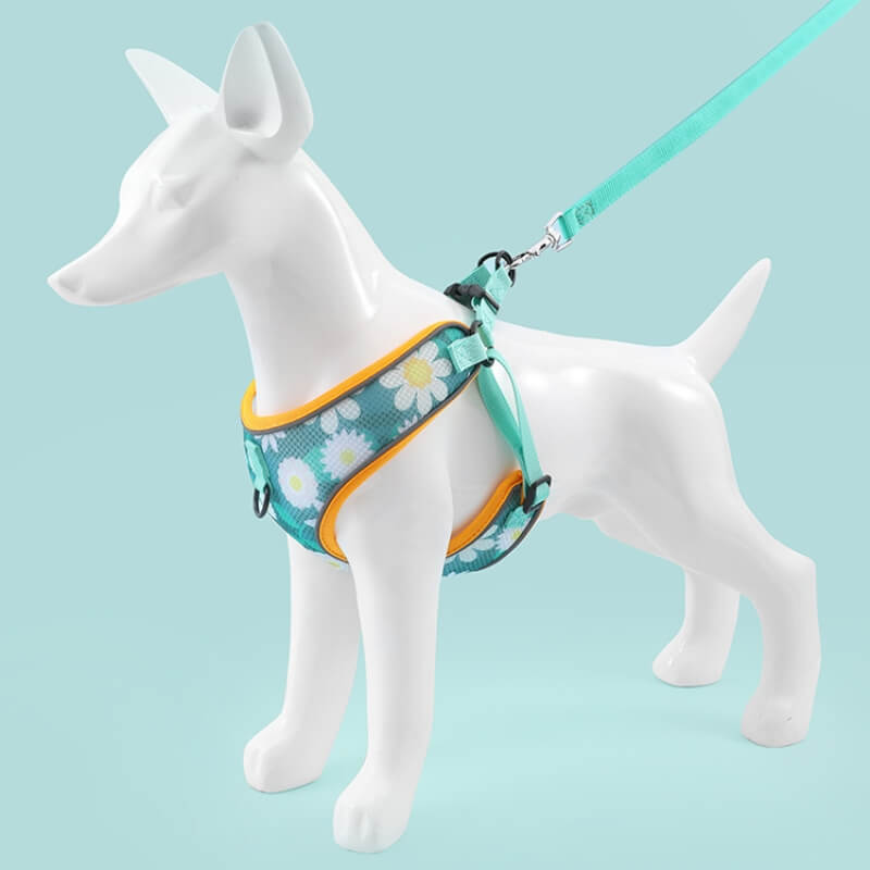 The Kitty Place™ Dog Breathable Harness No Pull  Dog Walk Set
