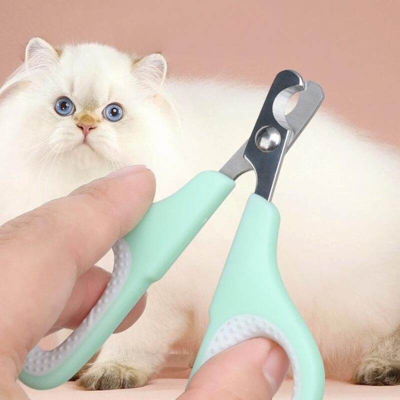 The Kitty Place™ Pet Grooming Brush Tool Kit