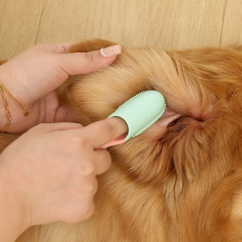 The Kitty Place™ Pet Toothbrush Finger Toothbrush for Teeth Cleaning