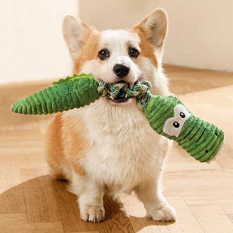 The Kitty Place™ Rope Squeaky Dog Interactive Toy