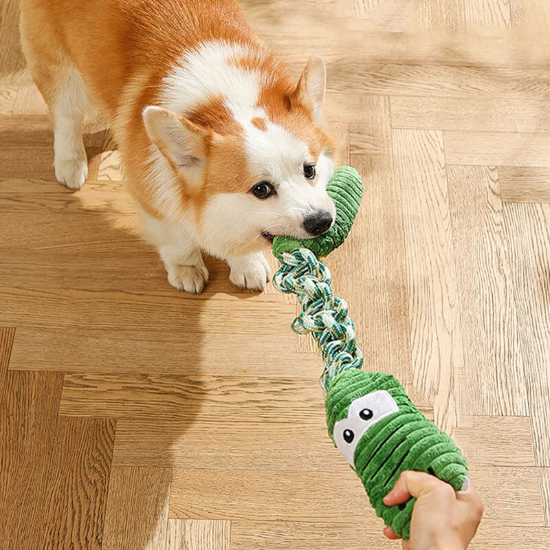 The Kitty Place™ Rope Squeaky Dog Interactive Toy